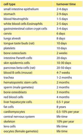 selected cell average replacement rates