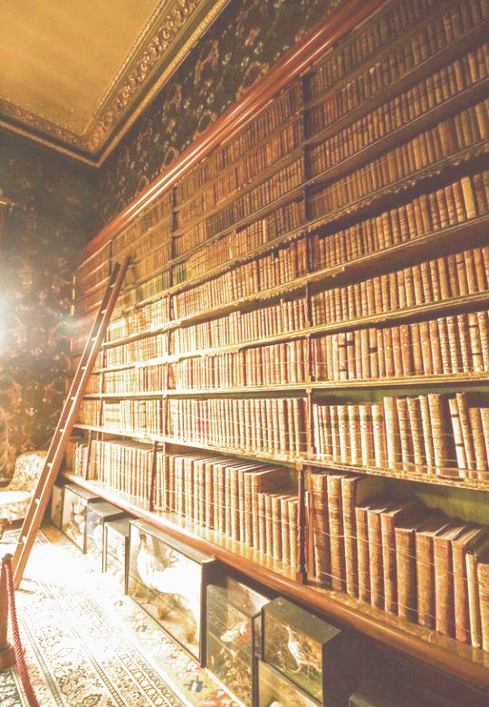 library shelves